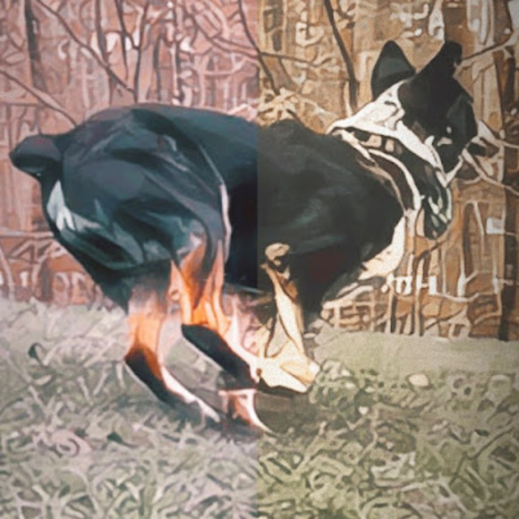 Meet your Posher, Ash - Picture 1 of 1